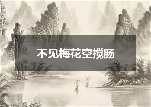 不见梅花空搅肠