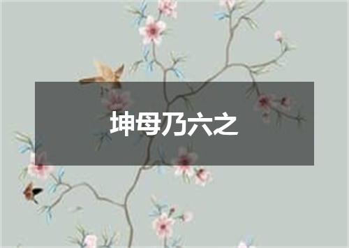 坤母乃六之