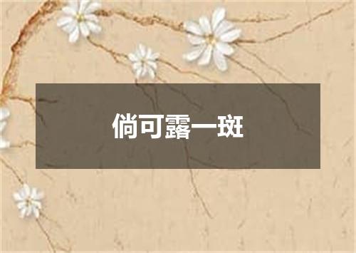 倘可露一斑