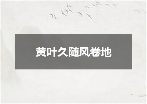 黄叶久随风卷地