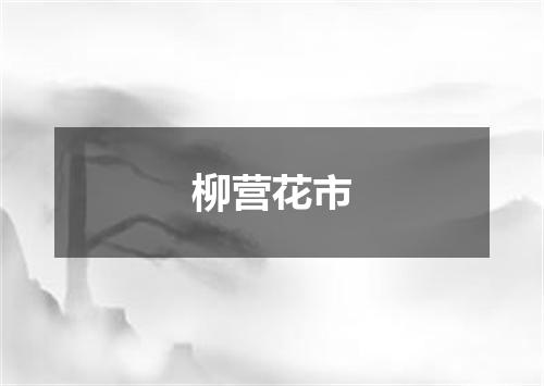 柳营花市