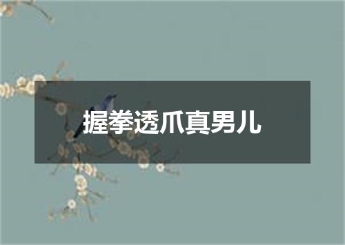 握拳透爪真男儿