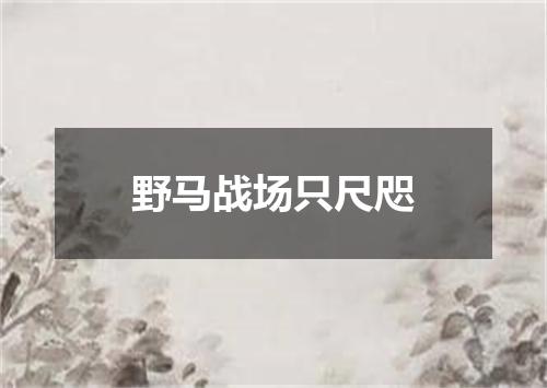 野马战场只尺咫