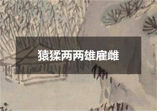猿猱两两雄雇雌