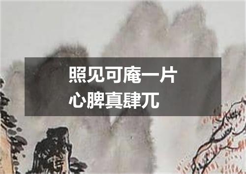 照见可庵一片心脾真肆兀