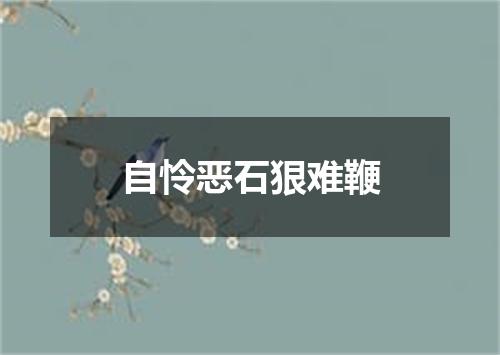 自怜恶石狠难鞭