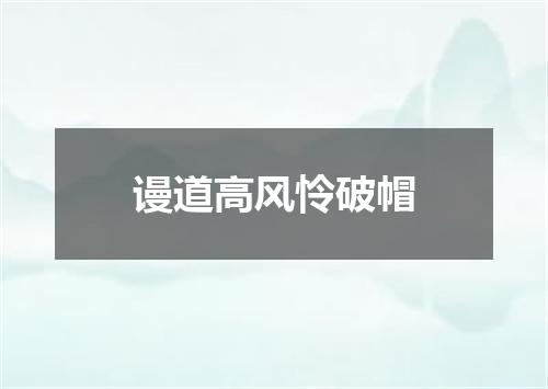 谩道高风怜破帽