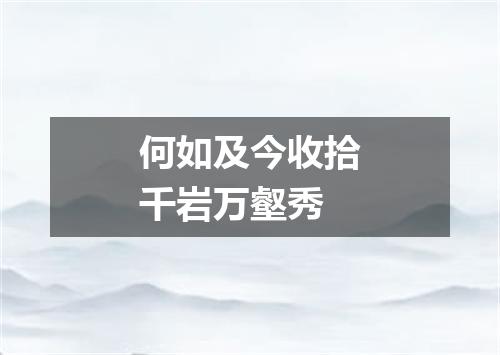 何如及今收拾千岩万壑秀