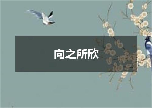向之所欣