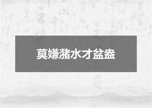 莫嫌潴水才盆盎