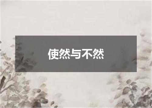 使然与不然