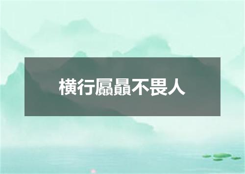 横行屭贔不畏人