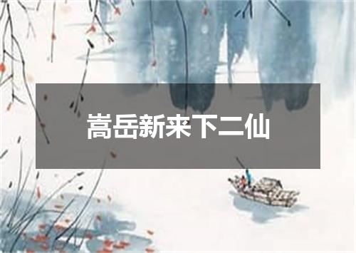 嵩岳新来下二仙