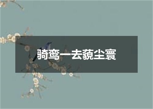 骑鸾一去藐尘寰