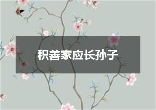 积善家应长孙子