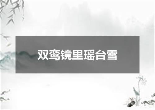 双鸾镜里瑶台雪