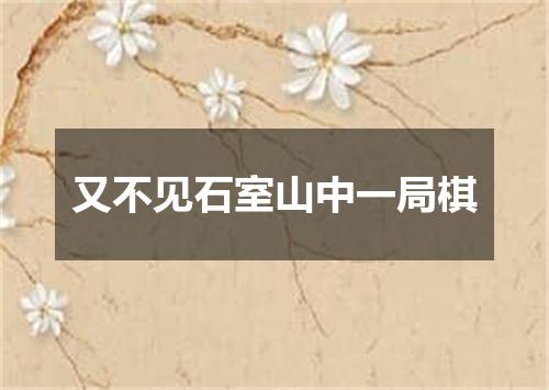 又不见石室山中一局棋