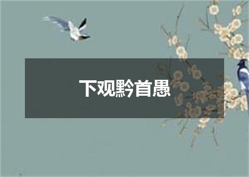 下观黔首愚