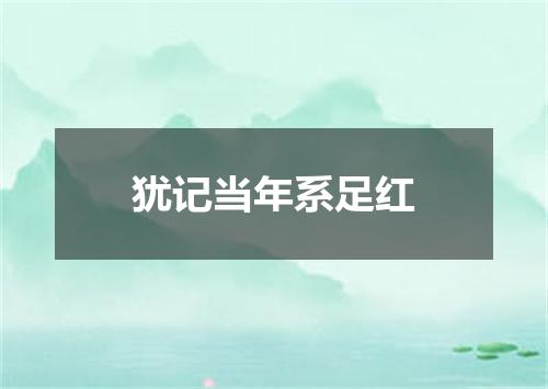 犹记当年系足红