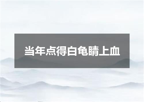 当年点得白龟睛上血