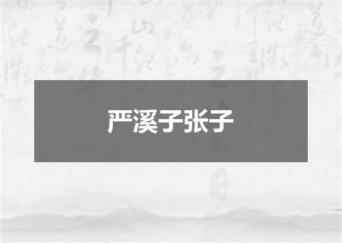 严溪子张子