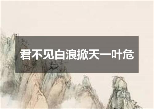 君不见白浪掀天一叶危