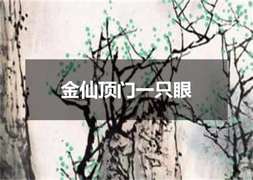 金仙顶门一只眼