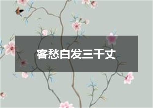 客愁白发三千丈