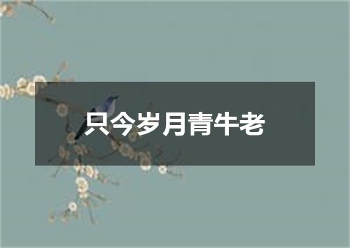 只今岁月青牛老
