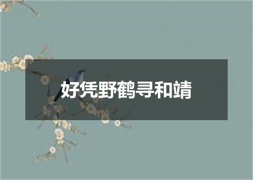 好凭野鹤寻和靖