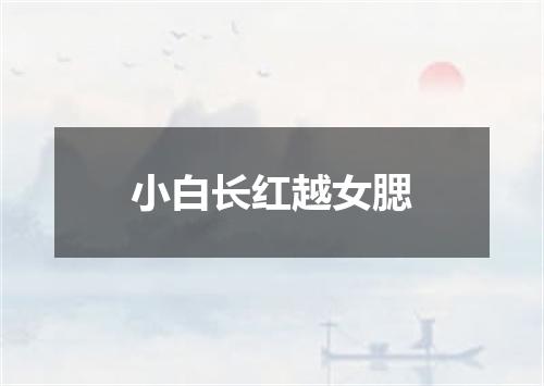 小白长红越女腮