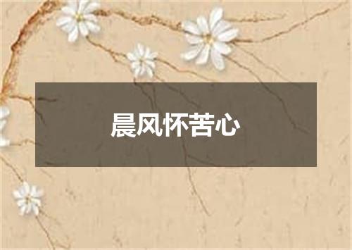 晨风怀苦心