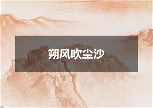 朔风吹尘沙