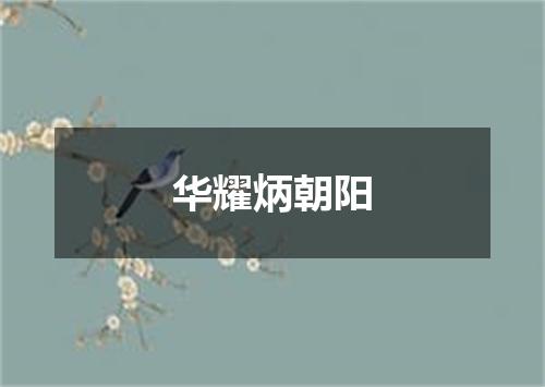 华耀炳朝阳
