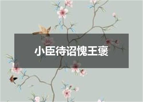 小臣待诏愧王褒