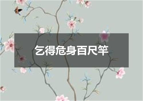 乞得危身百尺竿