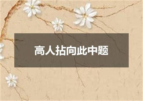 高人拈向此中题