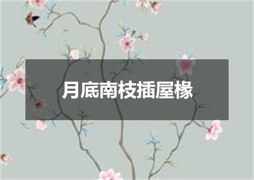 月底南枝插屋椽