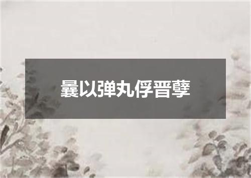 曩以弹丸俘晋孽