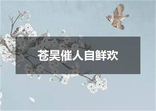 苍昊催人自鲜欢