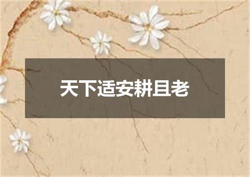 天下适安耕且老
