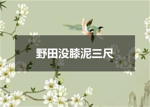 野田没膝泥三尺