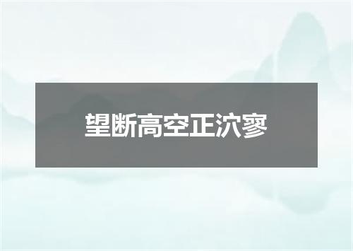 望断高空正泬寥