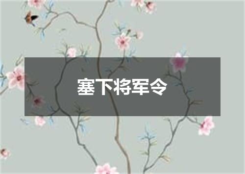 塞下将军令