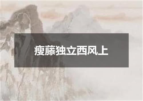 瘦藤独立西风上
