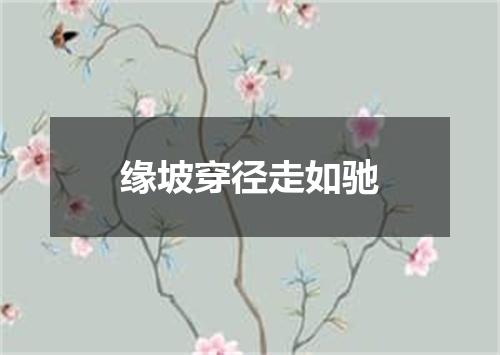 缘坡穿径走如驰