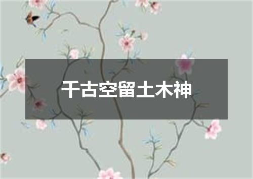 千古空留土木神