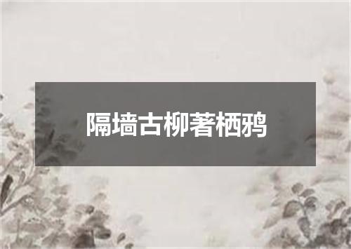 隔墙古柳著栖鸦