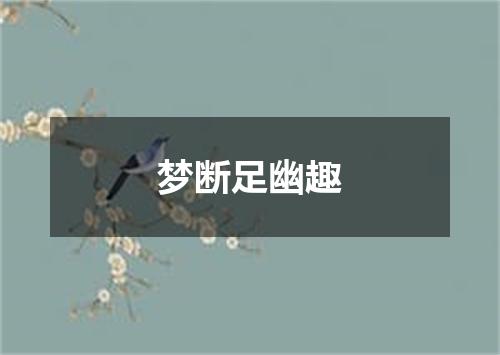 梦断足幽趣