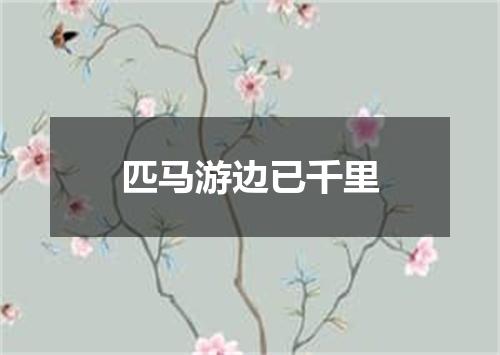 匹马游边已千里